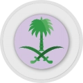 تنسيقات اليوم الوطني السعودي